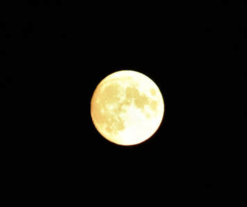 Photo of full moon.