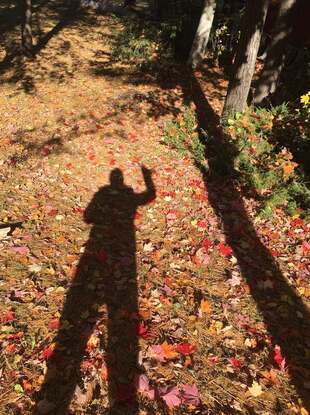 Photo of my shadow waving on colour fall leaves.e