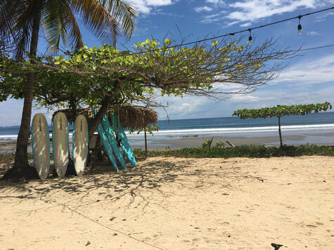 Playa Islita, Costa Rica. Surf boards leaning on a tree on the beach.