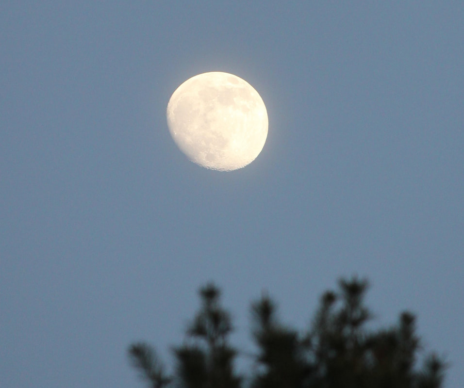 Photo of moon.