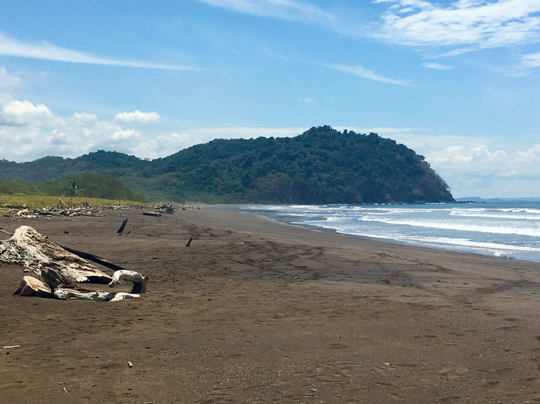 View facing south on Camaronal Beach, Costa Rica